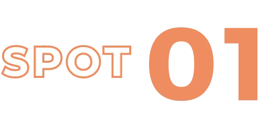 SPOT 01